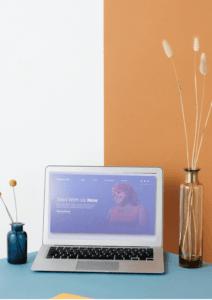beautiful wordpress websites